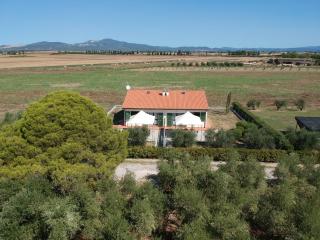 Agriturismo OlivoMare - Piombino - 8