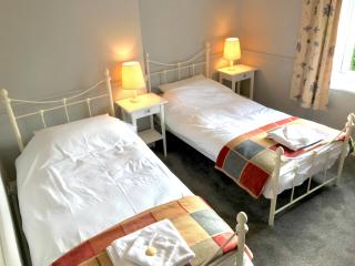 The Red Lion - Matlock - 8