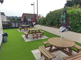 The Rifle Volunteer - Ware - 8