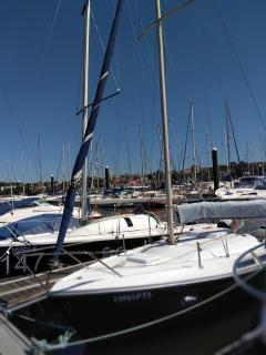 Veleiro D'Ouro - Vila Nova de Gaia - 7