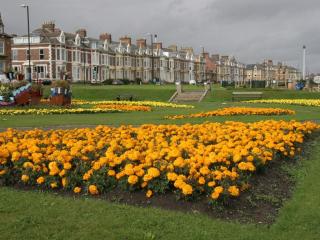 Seafront Apartments - North Shields - 3