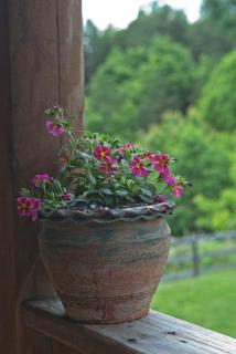 Shirley's Bed And Breakfast - Roanoke - 8