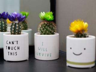 Live in Leeds Sky Penthouse - Leeds - 1