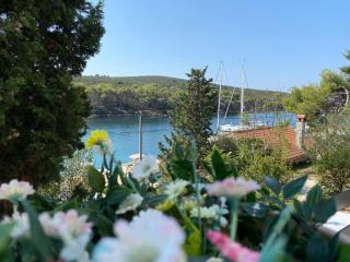 Apartment Lavanda - Molat - 9
