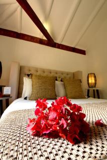 Hotel Casa Terra - 2