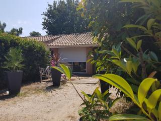 Monta Ocean - Vendays-Montalivet - 2