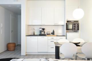 Stylish Studio In Pasila - 1