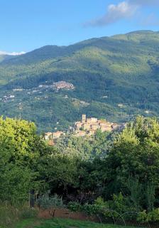 Villa Pietra Serena - Vellano - 4