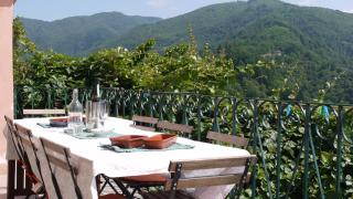 piscina con vista - 2