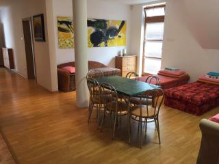Apartmán TRIGA - Snina - 9