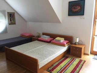Apartmán TRIGA - Snina - 8