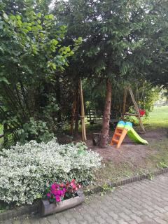 Zöld Oliva Apartman - 5