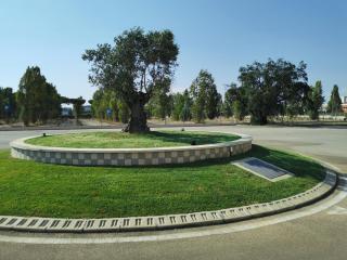 La Maison Latina Guest House - 3