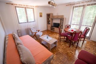 Apartmani Sunčev breg Vlasinsko jezero - 2