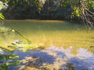 Rios Cristalinos em Guapiaçu - Cachoeiras de Macacu - 8