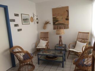 appartement T3 très fonctionnel et central au Cap Ferret - Cap Ferret - 0
