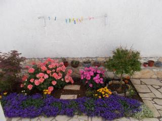 Apartments with parking space Porec - 7154 - Poreč - 1