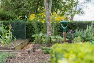 The Figgy by Bloom Stays - Ashford - 2