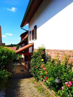Ferienhaus Marré - mit Grill, Feuerstelle und Gartensauna - Waldbrunn - 5