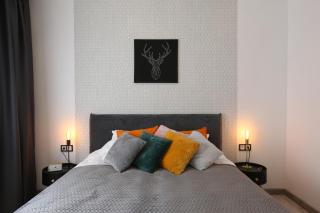 Comfy 2 Room Apartment - Free Parking - 350Mbps WiFi - Netflix - Kaunas - 1