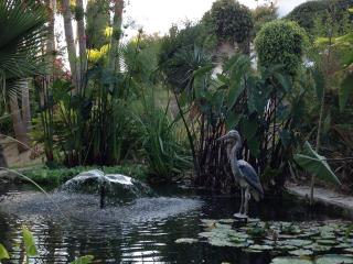 Casa Chozie, Nerja - 6