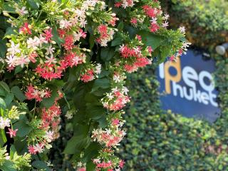 Ideo Phuket Hotel - Naiyang Beach - 1