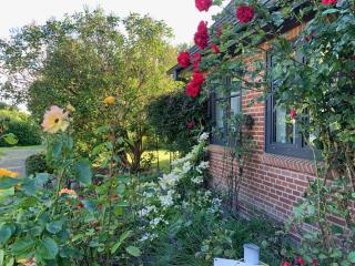 Charmantes Haus mit zwei Ferienwohnungen und großem Garten in Aventoft - Enjoy! - Aventoft - 8