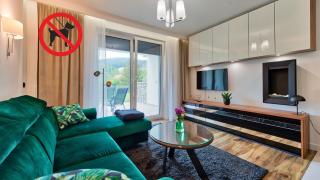 Apartamenty Piano by Royal Aparts - Świeradów-Zdrój - 5