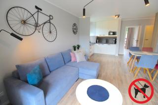 Apartamenty Piano by Royal Aparts - Świeradów-Zdrój - 4