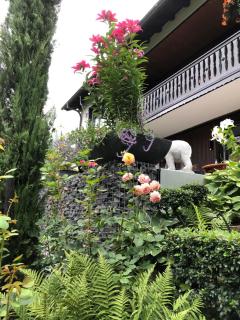 Apartment-47 Fulda - 2