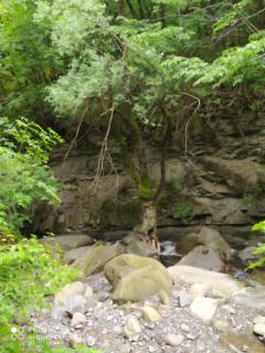 RIVAROLA - Fanano - 3