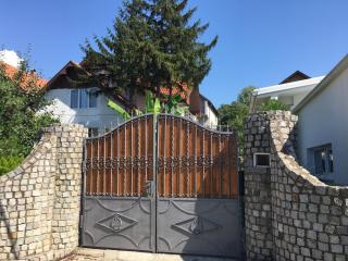Apartmani Spasić - Smederevo - 0