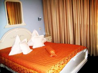 Hotel Pietroasa - 9
