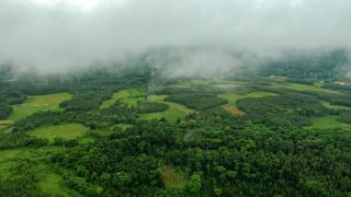 Vismita County - Chikmagalur - 1