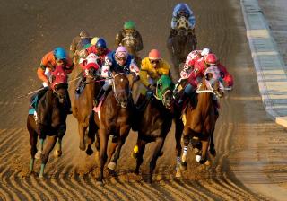 The Inn at Charles Town / Hollywood Casino - Charles Town - 4