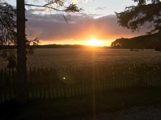 BED & BREAKFAST 5 MIN FROM e47 - DOGS WELCOME - COSY FARM BnB - Tureby - 9