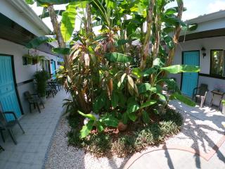 Hotel Perico Azul & Surf Camp - 1