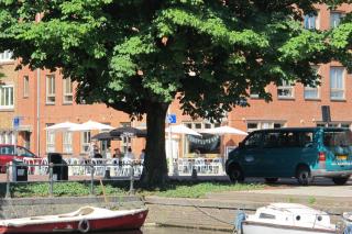 Wild Roses - Amsterdam - 7