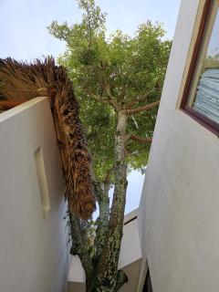 Mocca Hotels - 1