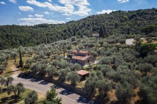 Il Poggio Dell'Eremita - Rigomagno - 9