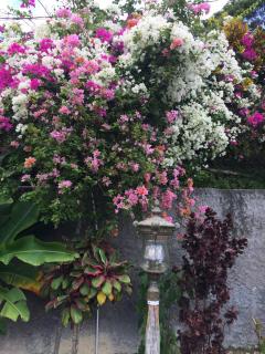 Teresinajamaica - Saint Anns Bay - 5