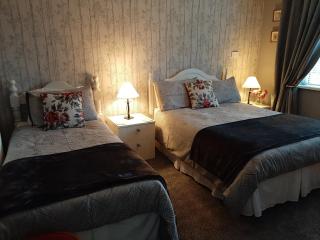 Barrow View Accommodation - Mountmellick - 6