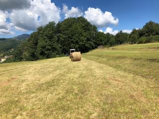 Le Pianelle - Varese Ligure - 4