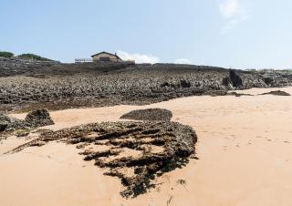 La Cabaña de la playa - Ajo - 3