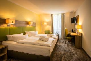 BERG & SPA HOTEL GABELBACH - Ilmenau - 9