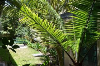 Avonmore On The Park Boutique Hotel - Sídney - 4