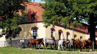Pension Rothschildův dvůr - Bělá - 5