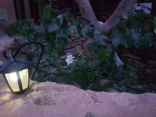 Villa La Vista de Tefia - Tefía - 5