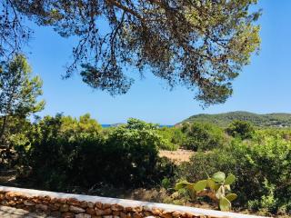 CASA RIBAS - Santa Eularia des Riu - 5