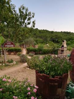 Apartman Rosa - 3
